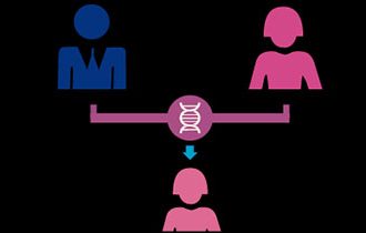 遗传性乳腺癌基因检测与风险评估