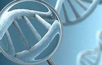 单基因遗传病中变异的效应与疾病的机制